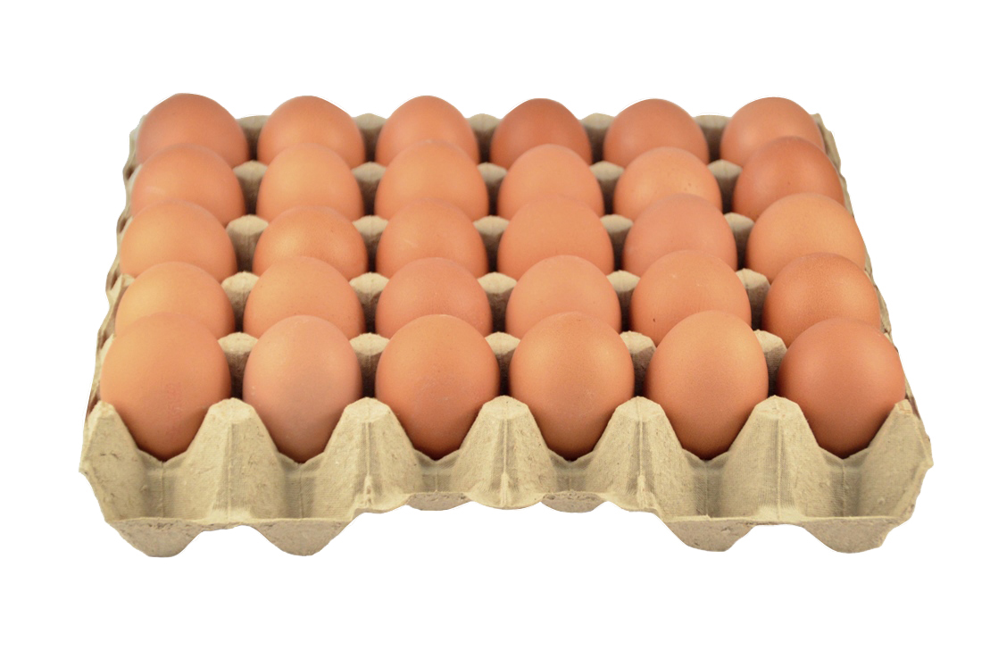 Eier braun