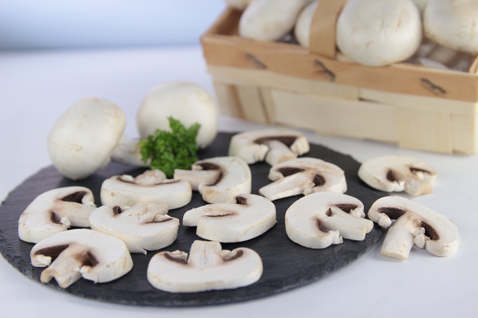 Champignons Hotel 2500g