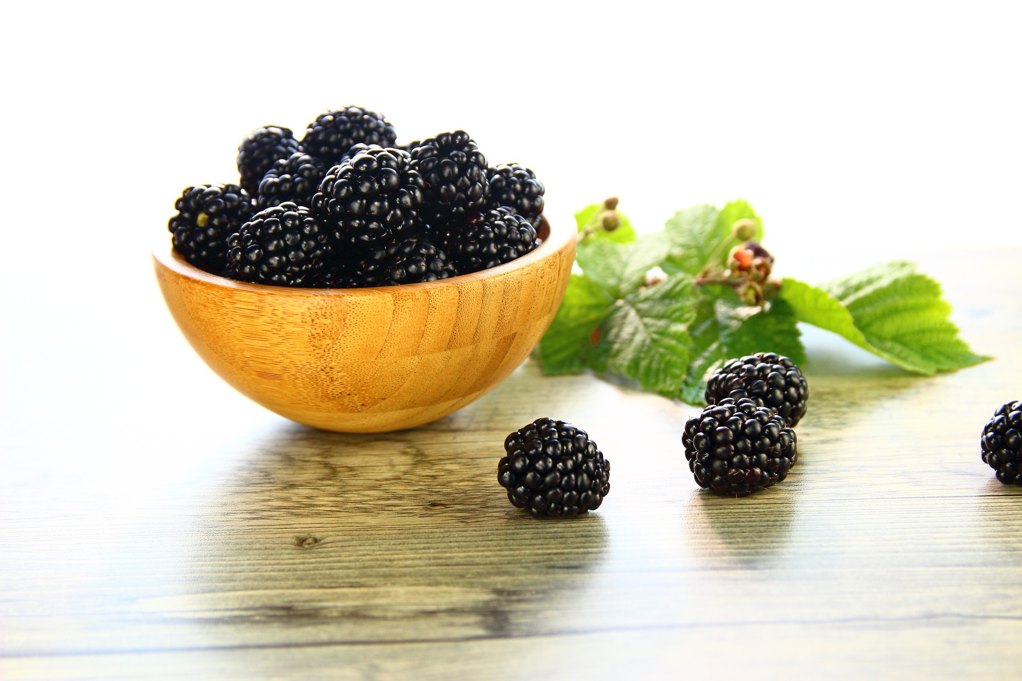 Kultur-Brombeeren 2500g