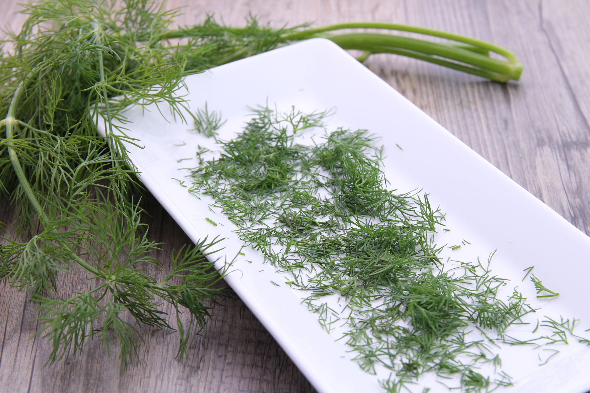 Dill 1000g