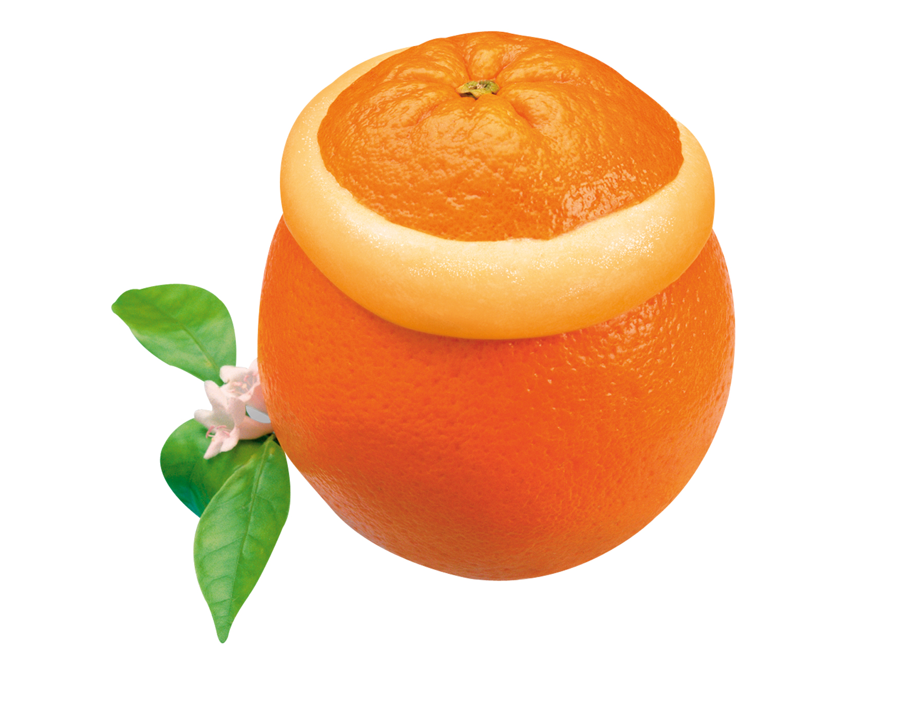 Gefüllte Frucht Orange 199ml