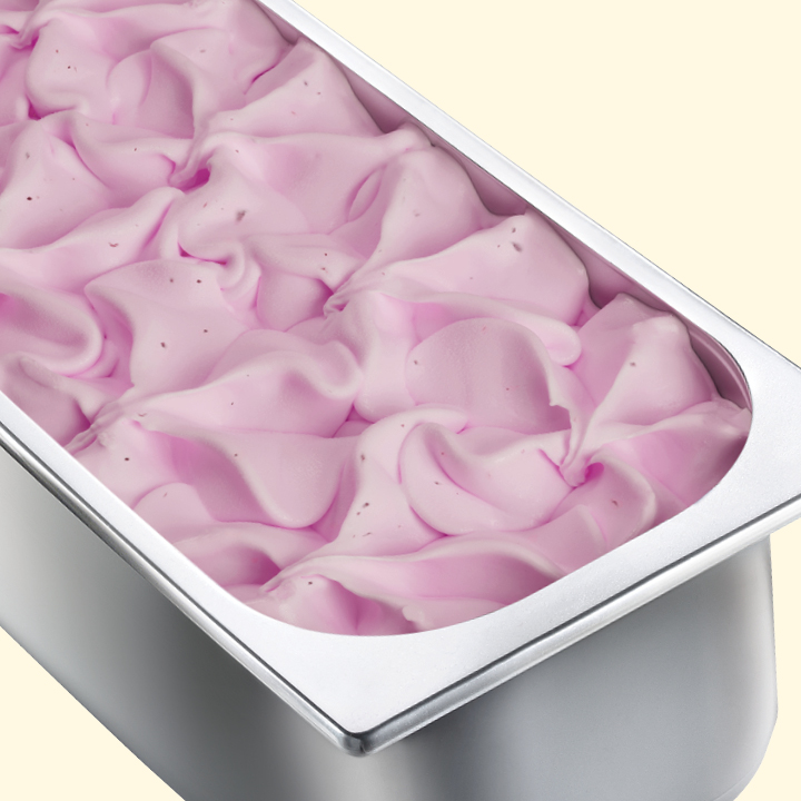 Yoghurt Frutti di Bosco Scoop Eis 4400ml