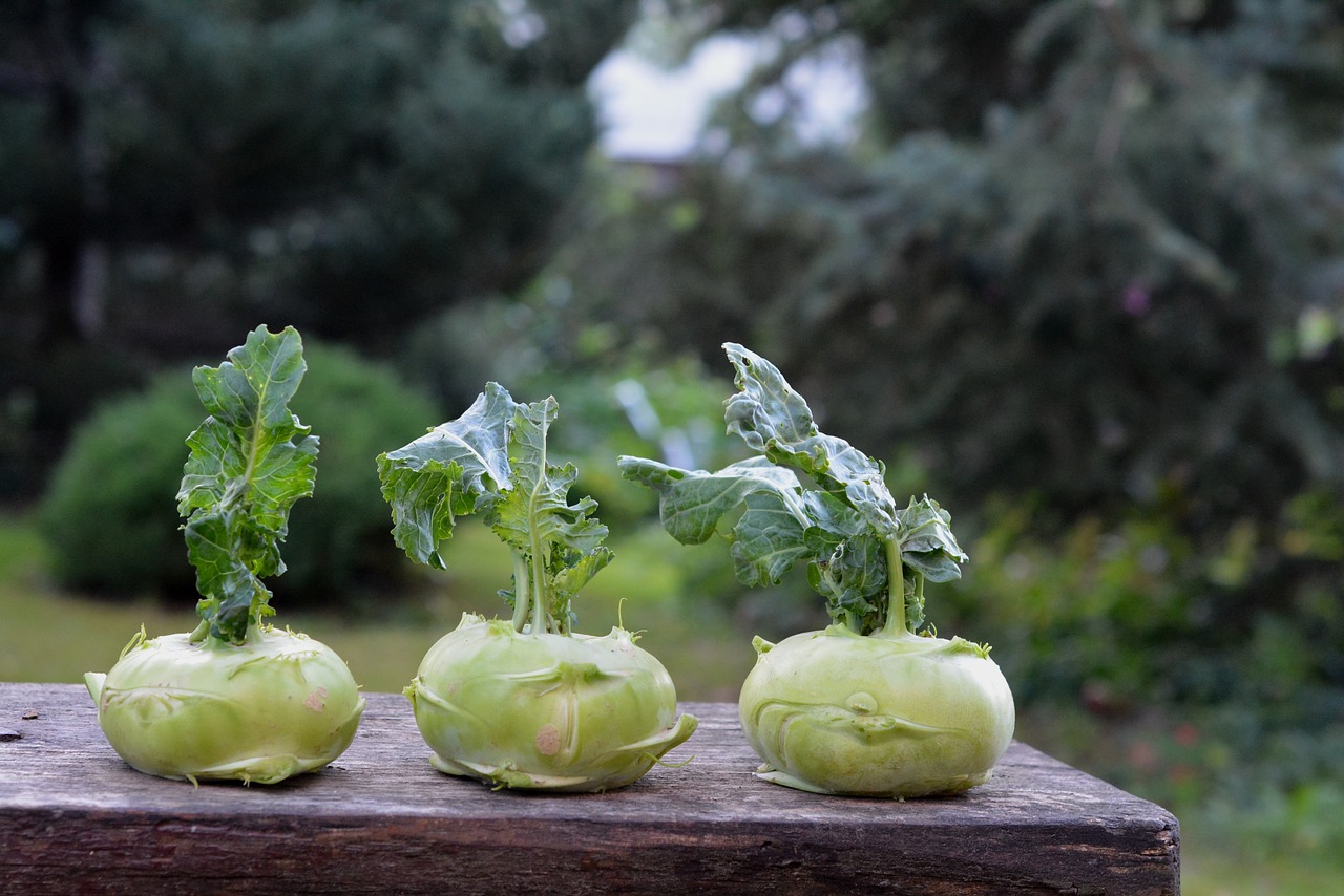 Kohlrabi-Streifen 8mm 2500g